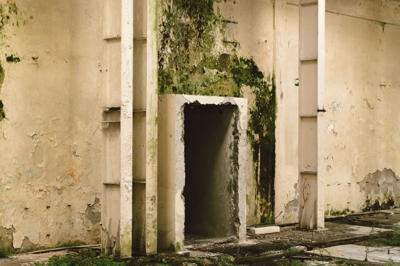 Massena Recreation Department preparing for second phase of mold remediation - Watertown Daily Times