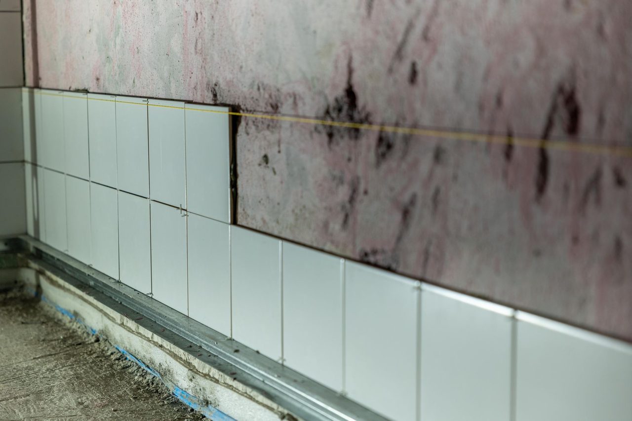 Why Property Owners Choose Fix Mold for Mold Testing, Mold Inspection, and Mold Remediation Services - Carroll County Mirror-Democrat