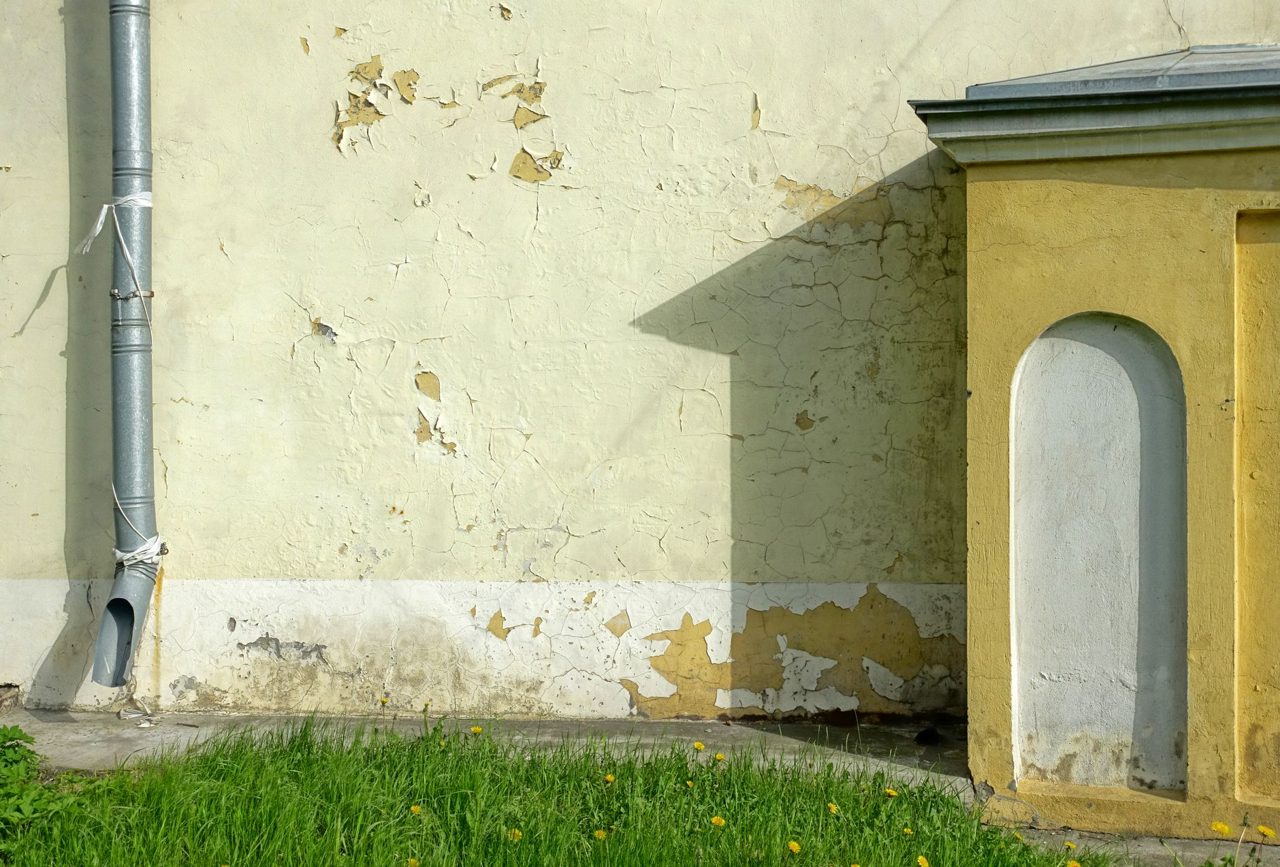 South Florida Mold Remediation Specialists Offer Safe Solutions for Homes and Businesses - The Killeen Daily Herald