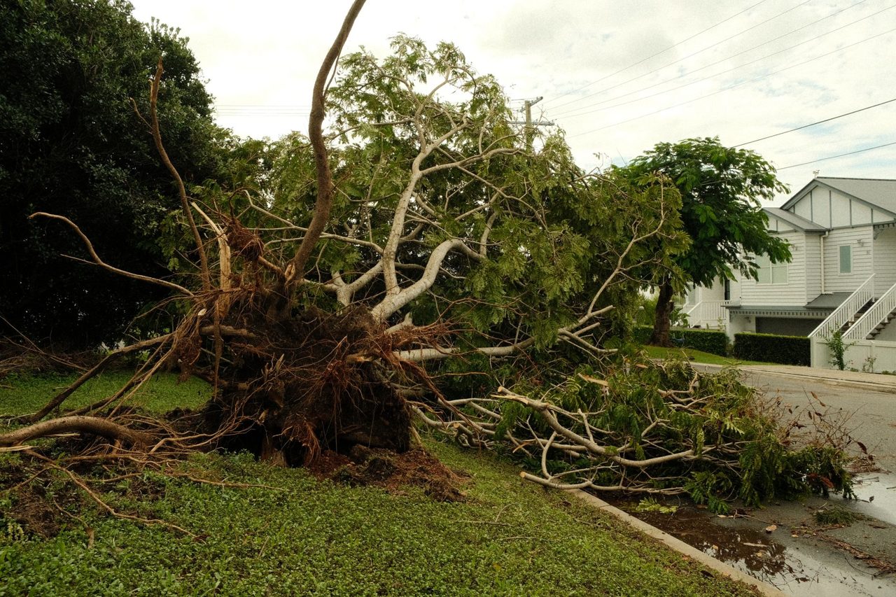 Multiple Tornadoes Cause Damage in Illinois and Indiana