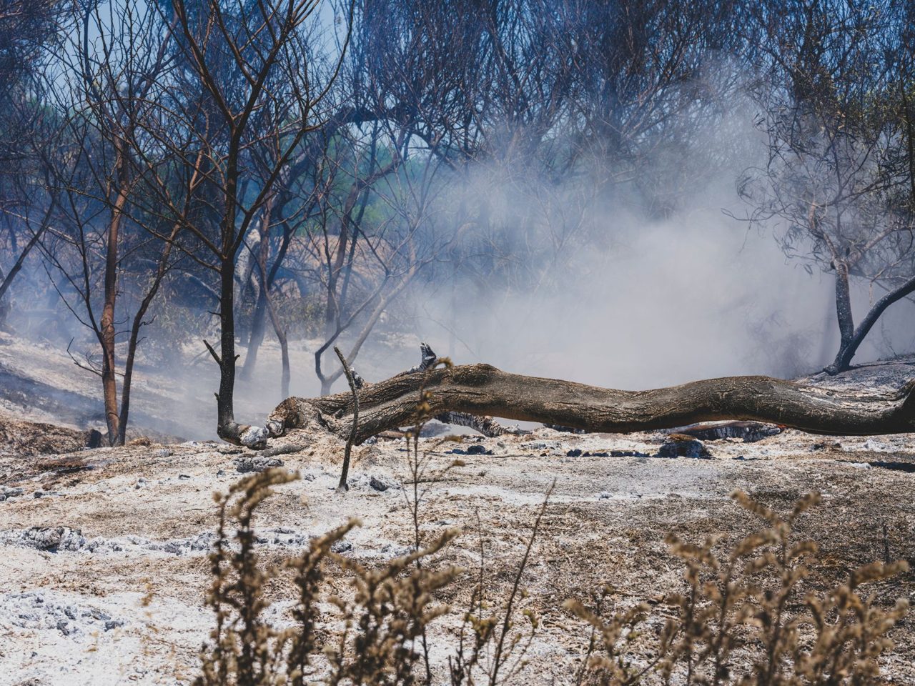 Big Bear residents endure power safety shutoffs due to high wildfire risk - CBS News