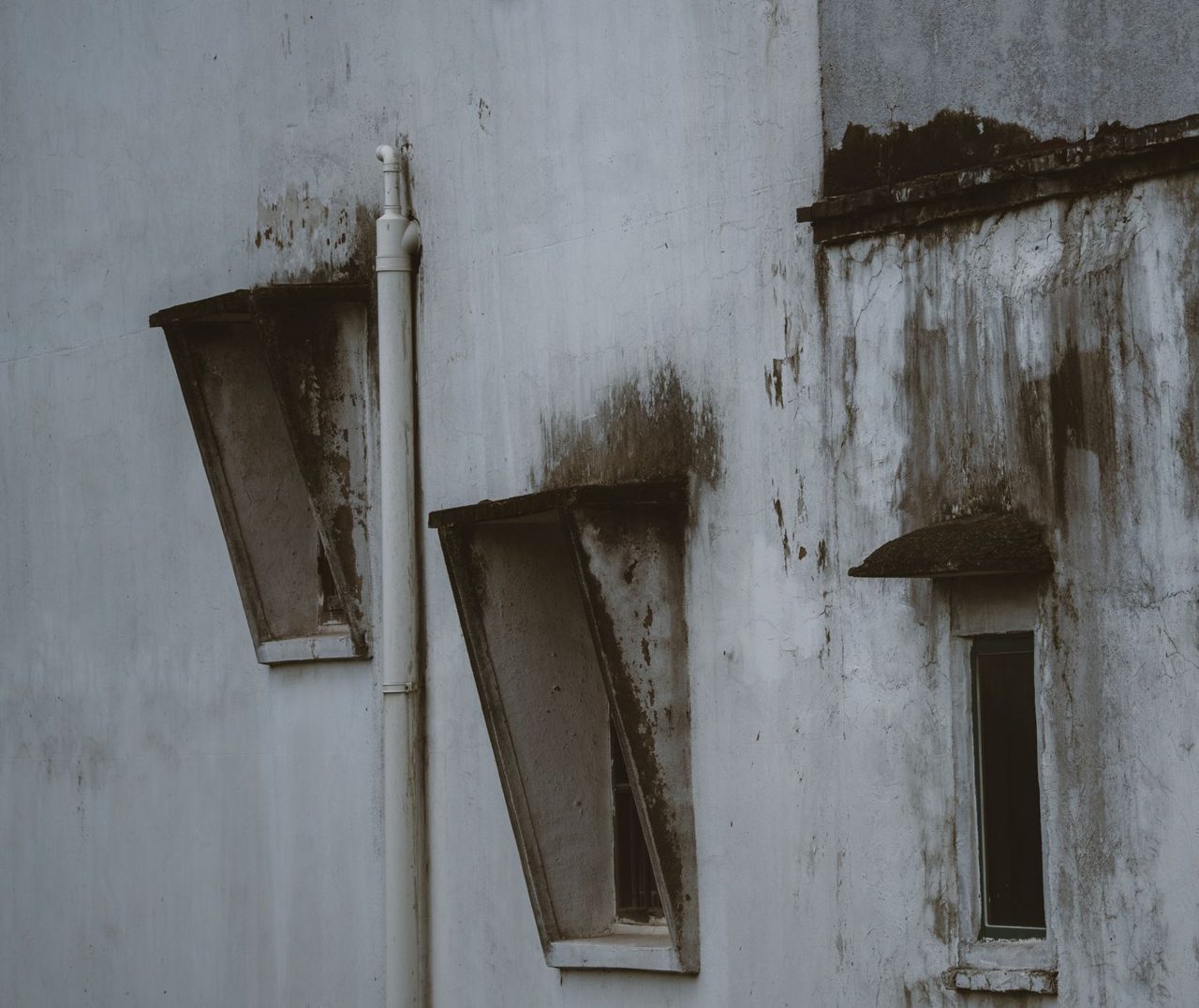 Why Property Owners Choose Fix Mold for Mold Testing, Mold Inspection, and Mold Remediation Services - EIN Presswire