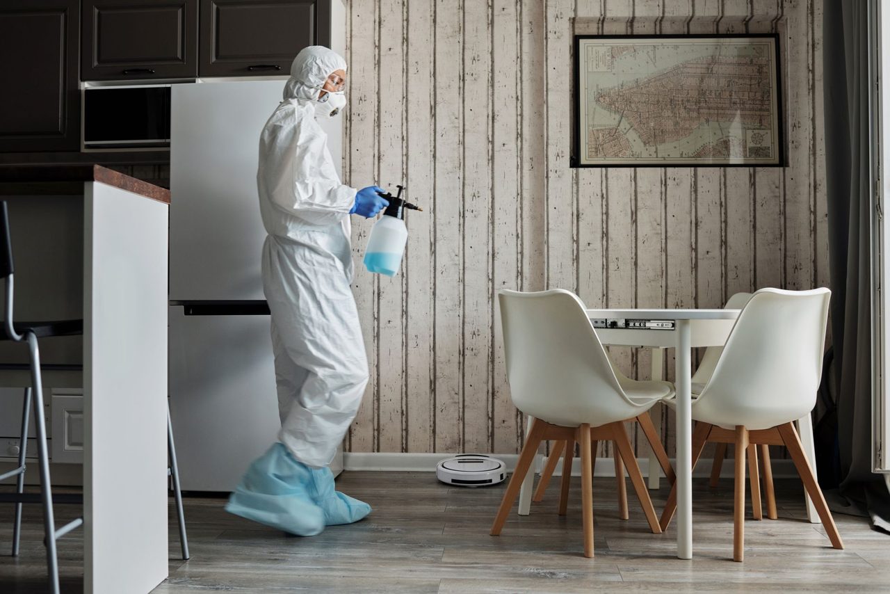 Black Mold Vs Toxic Black Mold: Differences & Risks in Irvine Homes