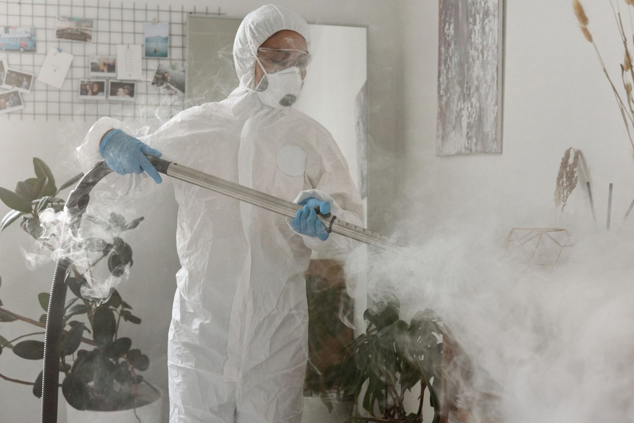 The 5 Best Mold Removal Companies in America - bobvila.com