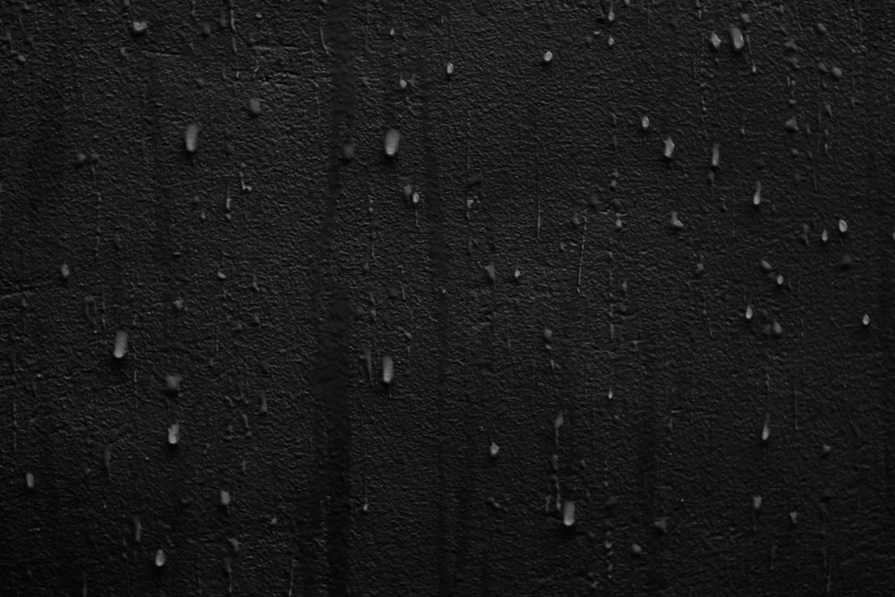 How To Identify Black Mold And Get Rid of It For Good - bobvila.com