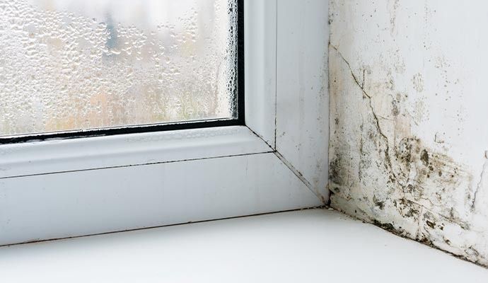 HVAC Mold Removal in Orange County & Riverside — DKI Restotech
