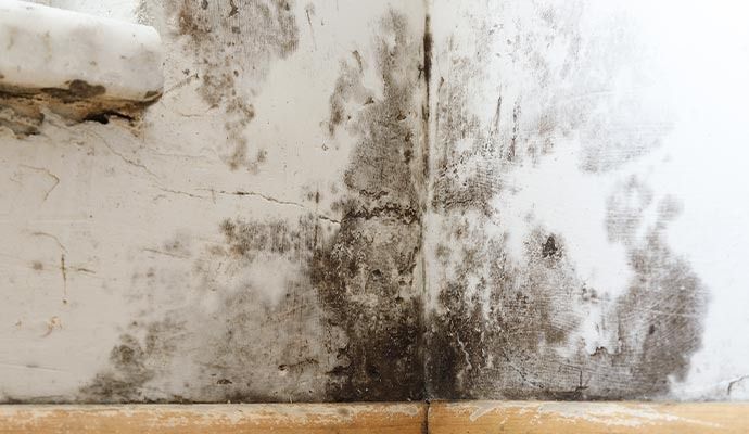 HVAC Mold Removal in Orange County & Riverside — DKI Restotech