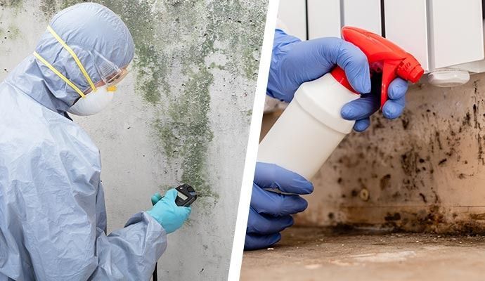 Remediation of Structural Mold in Orange County — DKI Restotech