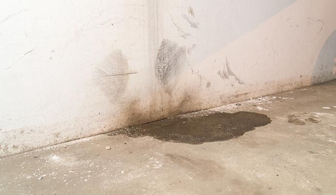 Carpet Water Damage Restoration in Orange County and Los Angeles — DKI Restotech