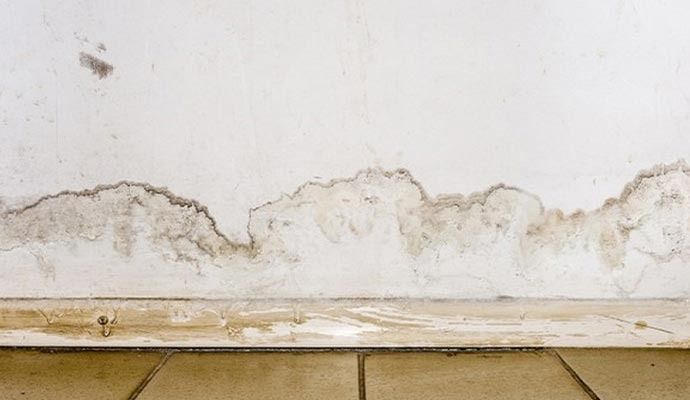 Remediation of Structural Mold in Orange County — DKI Restotech