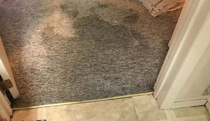 Carpet Water Damage Restoration in Orange County and Los Angeles