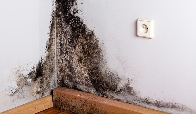 Restoration services in San Diego, CA