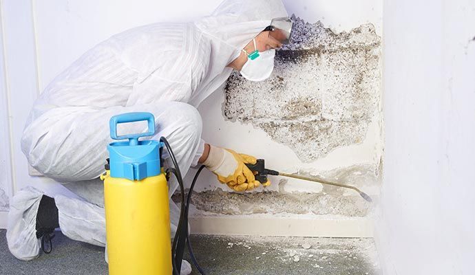 Professional Mold Cleanup and Removal in Orange County — DKI Restotech