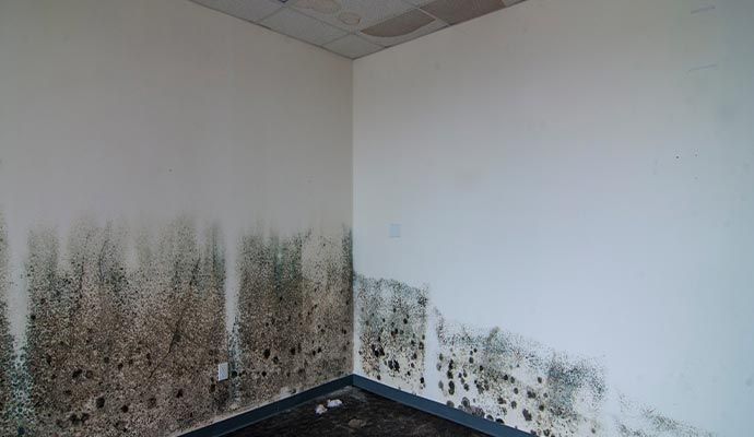 Commercial Restoration in Orange County — DKI Restotech