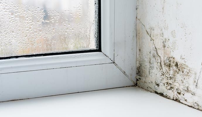Moisture Control Service in Los Angeles, CA
