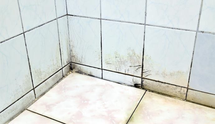 Tile and Stone Water Damage Restoration in Orange County — DKI Restotech