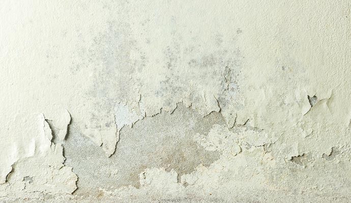 Moisture Control Service in Los Angeles, CA — DKI Restotech